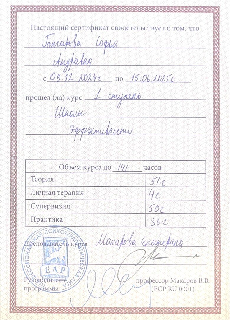 ОППЛ · Школа эффективности, 1 ступень