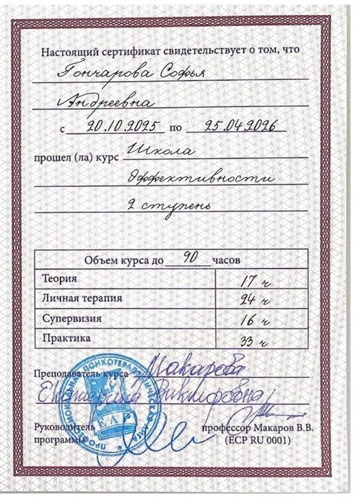 ОППЛ · Школа эффективности, 2 ступень